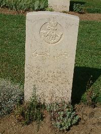 Sangro River War Cemetery - Ali Ashraf, 